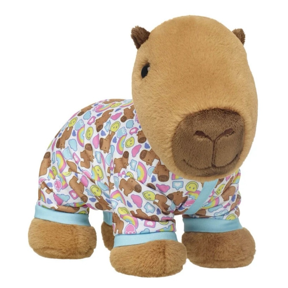 Build-A-Bear Capybara Set 🥰 - Picture 2 of 10